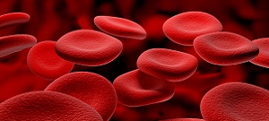 blood_cells_RBCs 300x135